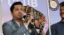 The cat that looks like a leopard stole the pet show that was conducted in South India