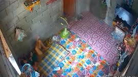 Sleeping homeowner jolted awake by venomous cobra  slithering towards her