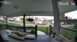 'Ring camera catches PA woman's CATastrophically embarrassing moment '