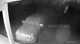 Naughty stray dog rips car's cover when he climbs on top of resident's car to have good view in Cambodia