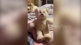 Emotional moment teen receives teddy bear with voice recording of late mum
