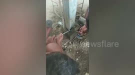 Workers rescue wild sparrow stuck inside pillar in Myanmar