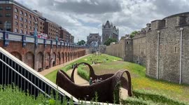 Superbloom at the Tower of London