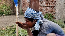 How heat waves are affecting health and agriculture in India