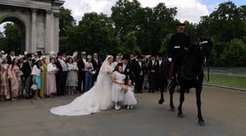 Passing horse photobombs family's wedding shoot by Wellington Arch, London