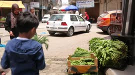 Palestinian child Mohammad Al-Kahlout, 6, sells leafy vegetables on World Day Against Child Labor at a popular market
