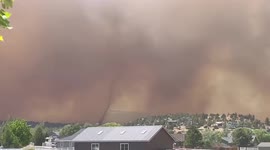 Possible firenado seen rising from Pipeline Fire near Flagstaff in Arizona