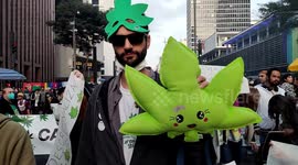 High spirits as thousands march through Brazilian city to call for cannabis legalisation
