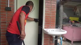 Shocked boy, 4, finds king cobra hiding in family's bathroom in Thailand