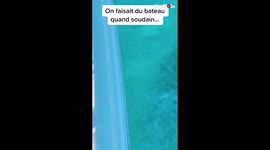 'Divers' curiosity leads to the discovery of a sunken World War Two plane 
'