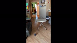 'Young boy learns that it's not easy to catch lightning in a bottle twice '