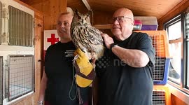 Animal Sanctuary is being threatened with a fine after a complaint that the property smells of ANIMALS