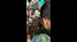 Heroic rescuers save baby baboon with head stuck in jug
