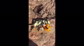 No stove, no problem: Man catches fish then cooks it upon Spanish beach