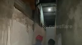 Huge python caught in market stall roof in Indonesia
