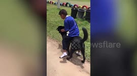 Youngster rides pet dog like a horse while heading home from school