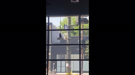 Los Ángeles bomb
