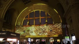 Argentina: The environmental organization Greenpeace Argentina warns about the extinction of the last 20 Yaguaretés in the Argentine Gran Chaco. Buenos Aires 14th June 2022.