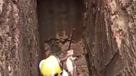 Little puppy falls into 30-feet-deep well and gets rescued after five hours of struggle