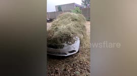 Chinese motorist covers car in weeds to protect it from hailstones