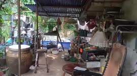 Hungry wild elephant raids house in search of food in Thailand