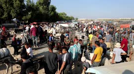 Palestinians choose sheep at a livestock market, ahead of Eid al-Adha