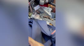 Shop owner finds newborn kittens in his market stall