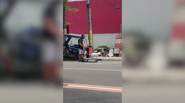 Pampered pooch goes for walkings by riding on platform trolley