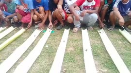 Residents race wild river crabs during festival in the Philippines