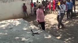 Snake that bit woman wrangled from residential area in central India
