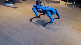 Aries robotics have a short demonstration of their robotic dog and a humanoid companion doll