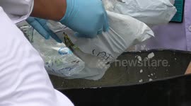 Indonesian police destroy 35 kg of methamphetamine after drug traffickers seized