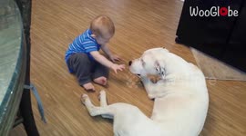 Dog gives little boy a taste of his own medicine