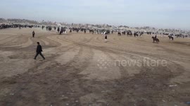 HOLLYWOOD BUZKASHI You remember the scene in Rambo III where Sylvester Stallone is playing buzkashi with his mujahideen companions and scores a goal before a Soviet invasion, right? If you haven't already, here's a refresher: