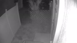 Now I have monsters crawling over the place