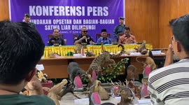 Indonesian officials seize taxidermies of rare and protected animals