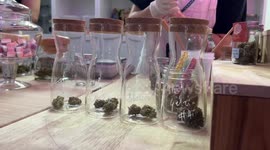 Shop sells fresh cannabis alongside sweets as drug is decriminalised in Thailand