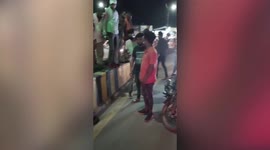 Huge python brings traffic to halt in central India, rescued