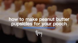 It’s Summer and It’s Hot and These Peanut Butter Pops Are Perfect for Keeping Your Dog Cool