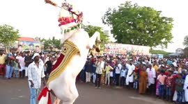 Horse in South India danced to the music was the center of attraction in the festival