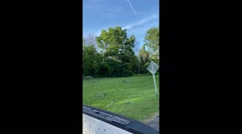 Canada: Tornado-Warned Storm Leaves Damage In Ontario