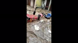India's floods: fast-flowing 'river' sweep away animals and vehicles
