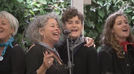 Watch these cheerful performances from Sea Shanty Festival in Falmouth!