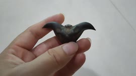 Food that looks like face of satan