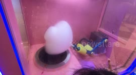 Children watch in awe as vending machine makes delicious cotton candy