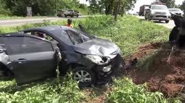 Distracted driver crashes while playing with pet CAT in her lap