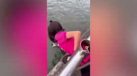 Kind jogger rescues pigeon drowning in river in Thailand