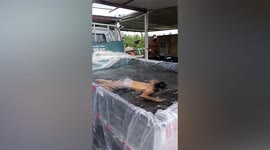 Father turns truck into swimming pool for son in China