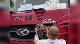 Owl rescued after collided with truck and getting trapped in vehicle's grille