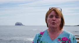 Avian flu strikes the world's largest gannet colony on Bass Rock